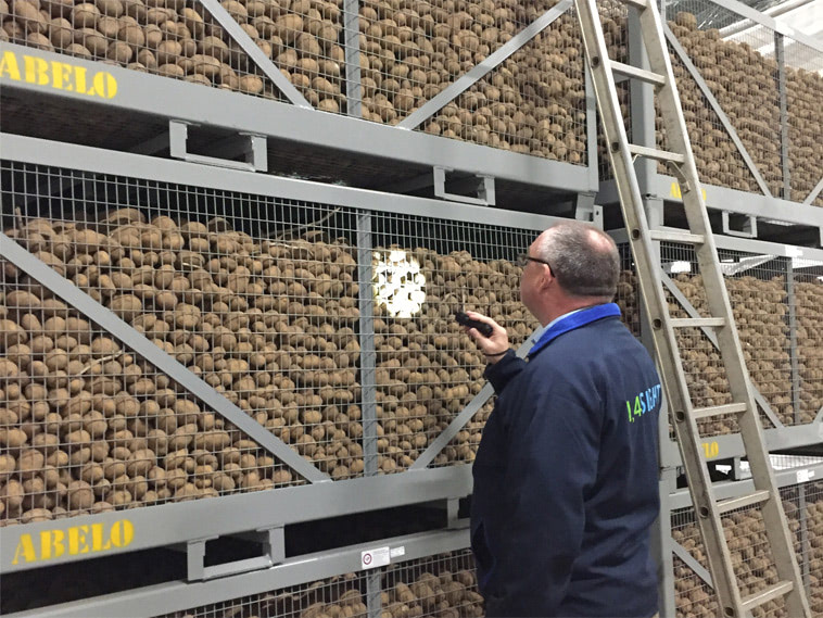 Inspecting quality potatoes